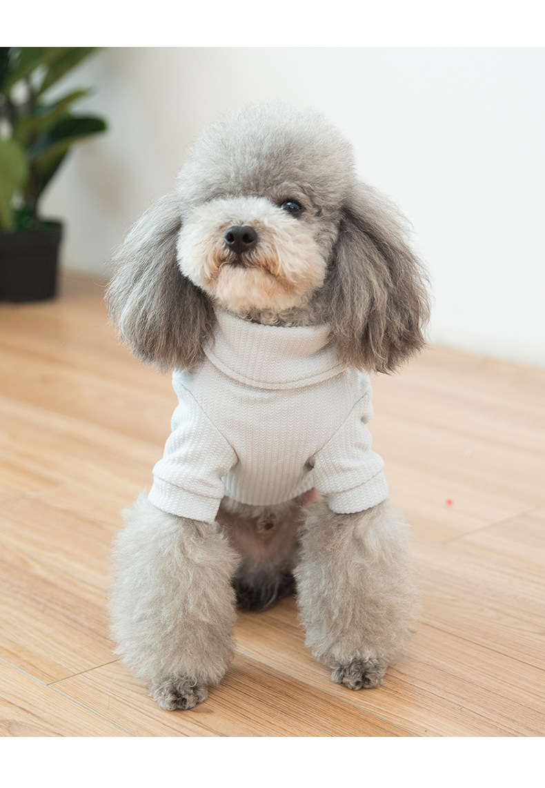 new dog clothes08.jpg